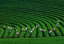 THAI NGUYEN TOUR 2 DAYS 1 NIGHT 